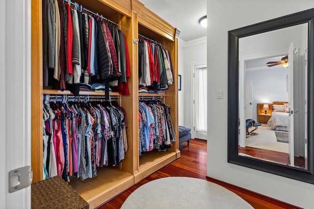 spacious closet featuring dark wood-type flooring and ceiling fan