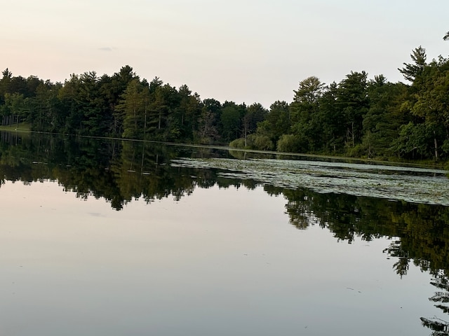 view of water feature