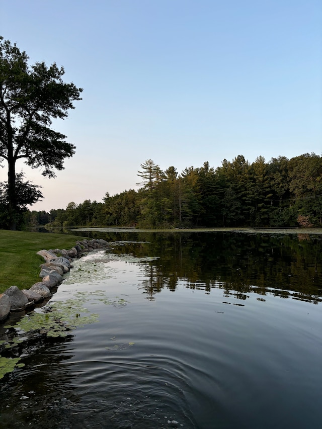 view of water feature