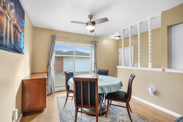 dining space with ceiling fan and light wood-type flooring