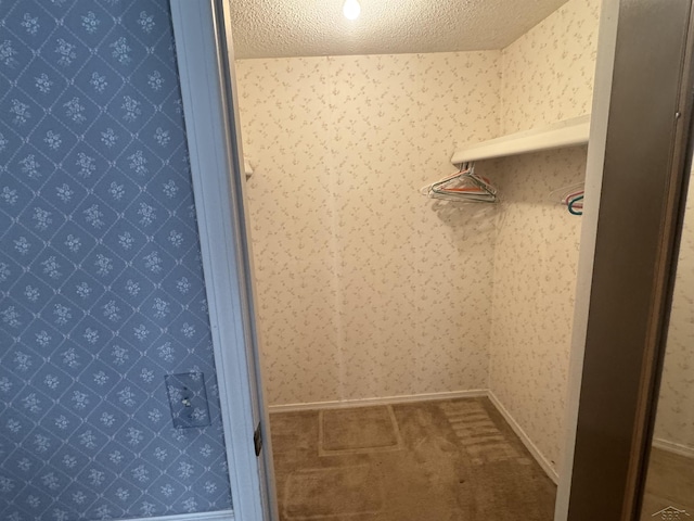 spacious closet with carpet flooring