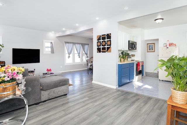 living room featuring light hardwood / wood-style floors