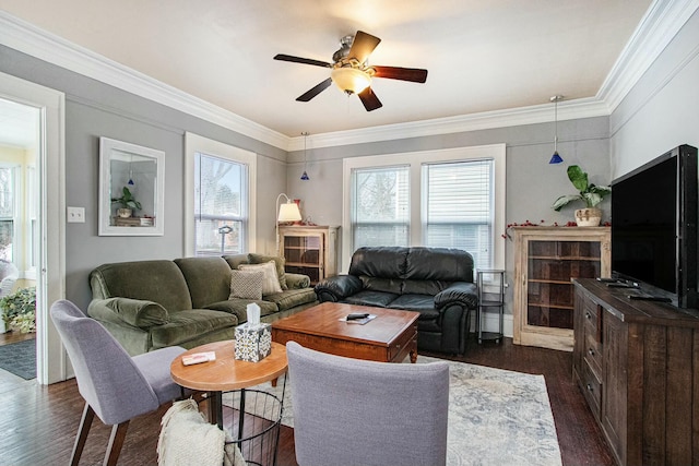 living room with ceiling fan, ornamental molding, plenty of natural light, and dark hardwood / wood-style flooring