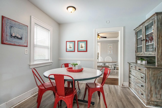 dining room featuring wood-type flooring