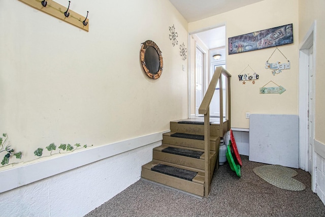 stairs featuring carpet flooring