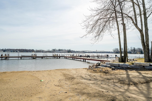 dock area with a water view