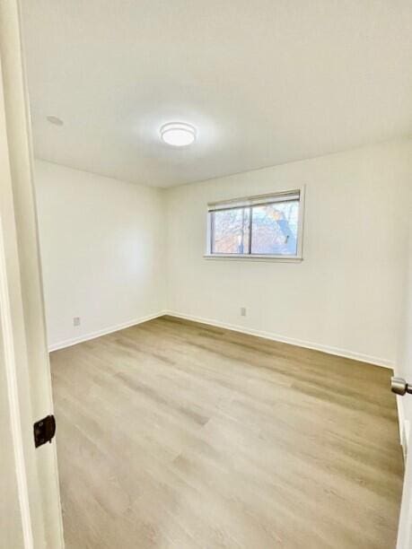 spare room with light hardwood / wood-style floors