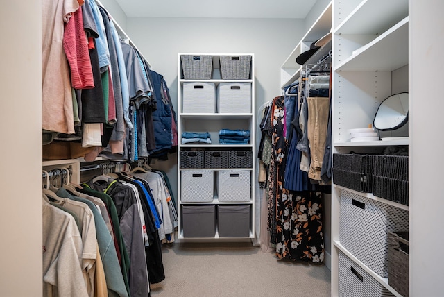 spacious closet featuring carpet flooring