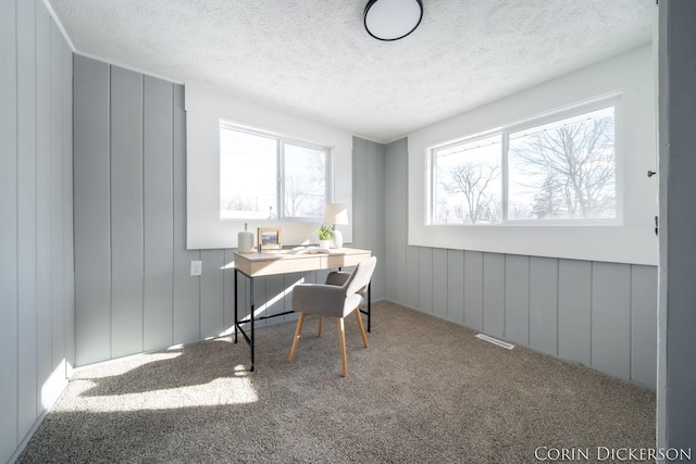 carpeted office space featuring a textured ceiling and a healthy amount of sunlight