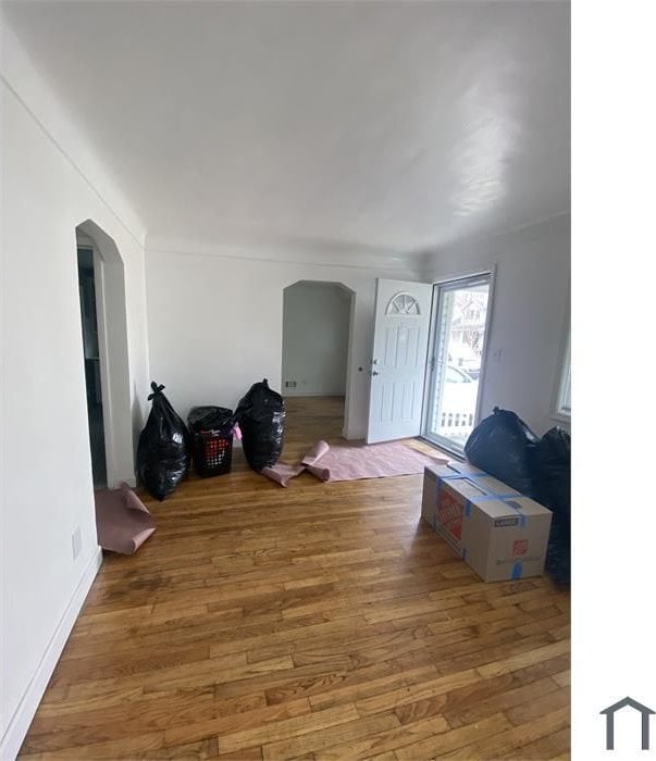 entryway featuring wood-type flooring