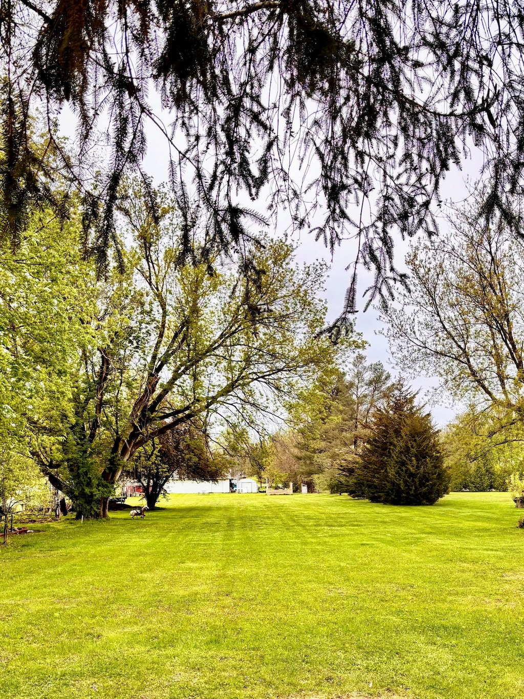 2209 Russell St, Grand Blanc, MI 48439 - photo 1