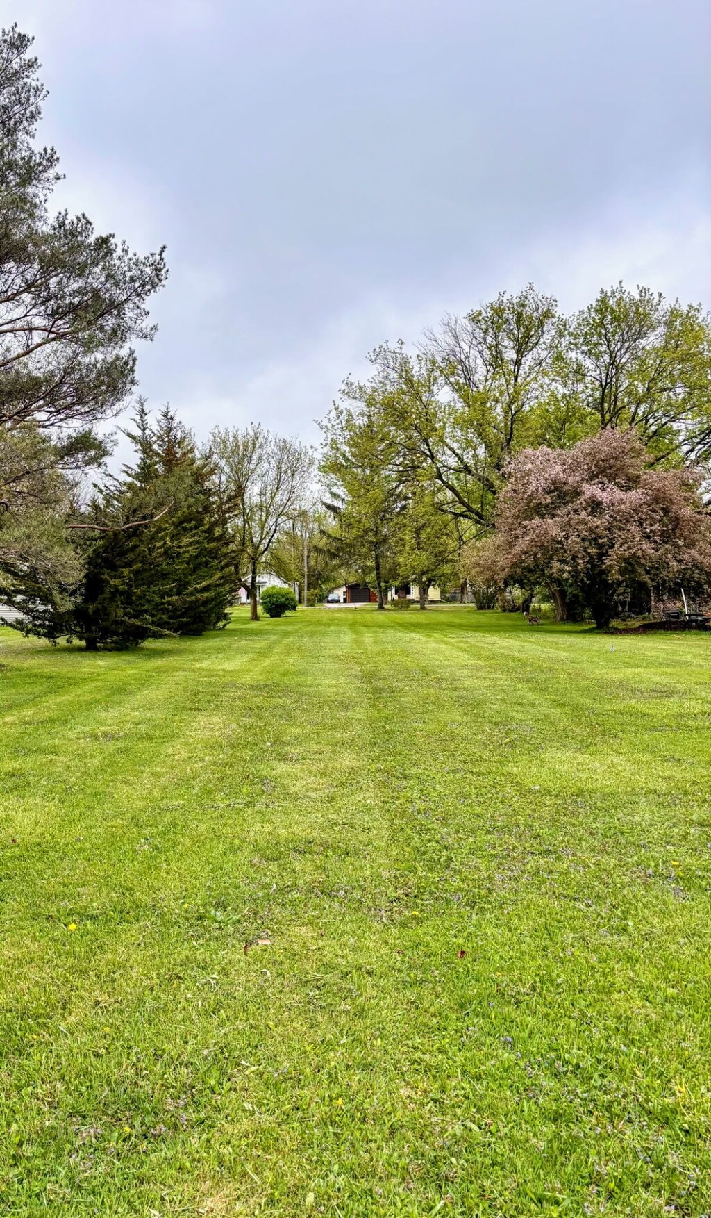 2209 Russell St, Grand Blanc, MI 48439 - photo 2