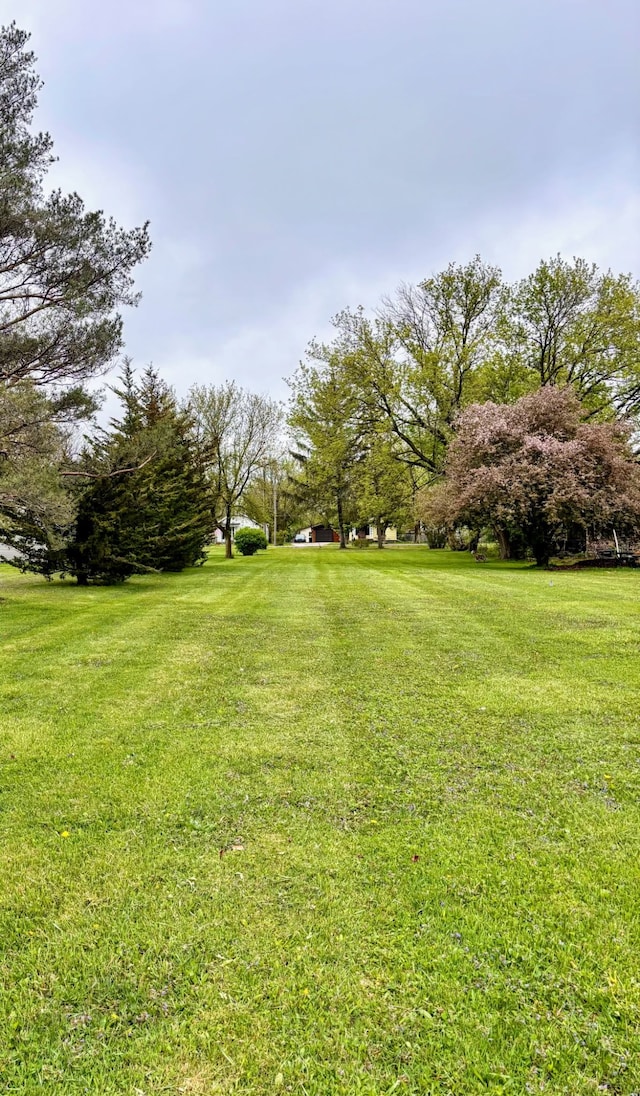 2209 Russell St, Grand Blanc, MI 48439 - photo 2