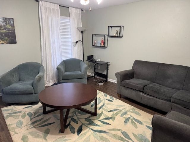 living room featuring wood-type flooring