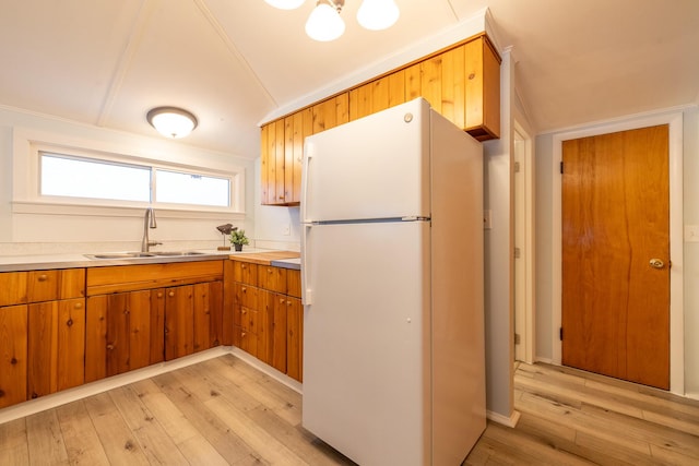 kitchen featuring white refrigerator, sink, and light hardwood / wood-style flooring