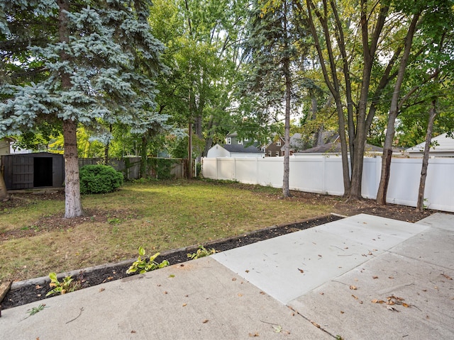 view of yard with a patio area