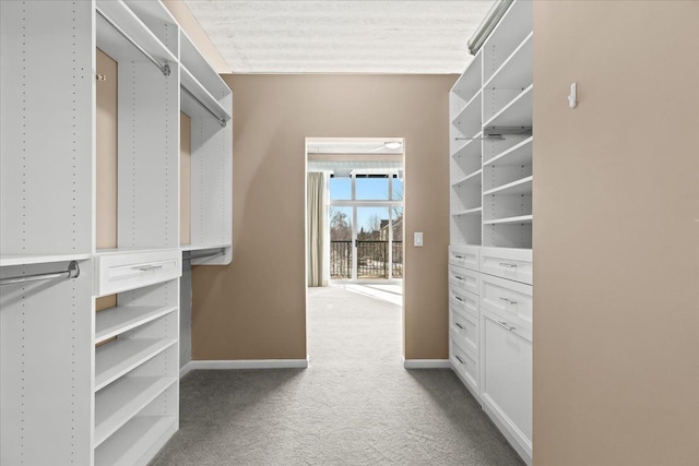 spacious closet with carpet