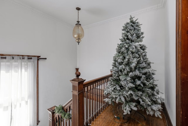 interior space featuring hardwood / wood-style floors and ornamental molding