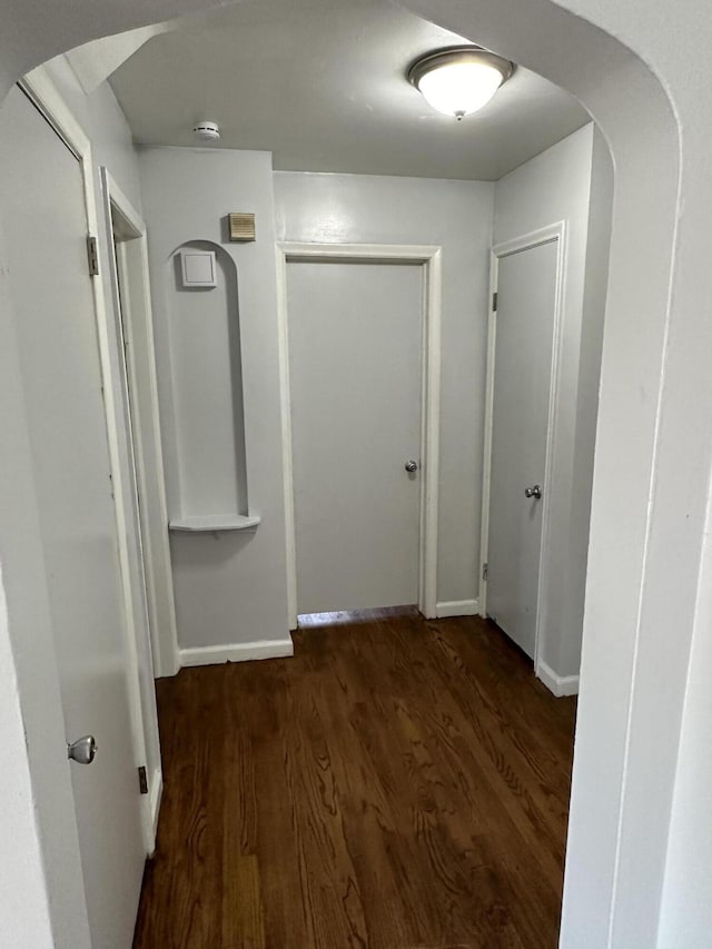 11409 College St, Detroit, MI 48205 - hall with dark hardwood / wood-style flooring