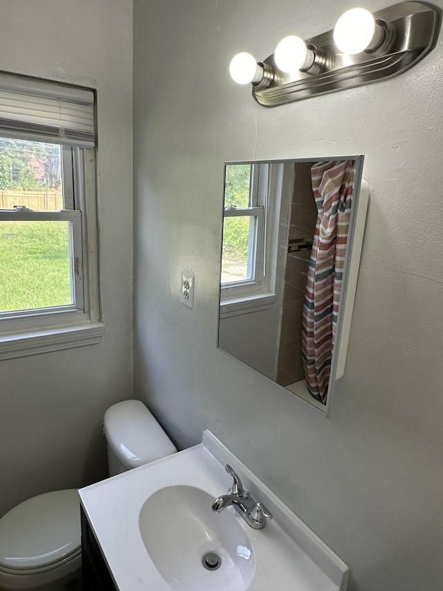 11409 College St, Detroit, MI 48205 - bathroom featuring vanity, plenty of natural light, and toilet