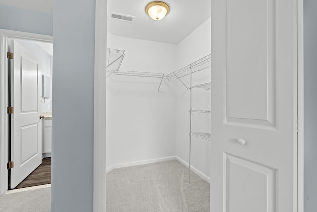 walk in closet with light colored carpet