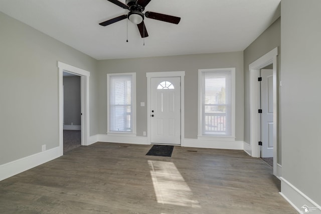 entrance foyer featuring hardwood / wood-style floors, a wealth of natural light, and ceiling fan