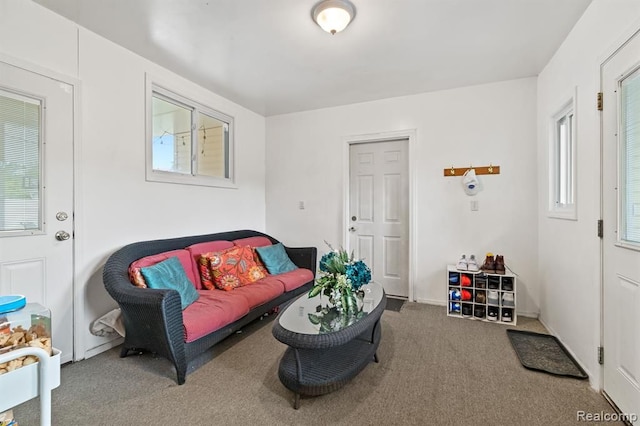 carpeted living room with plenty of natural light