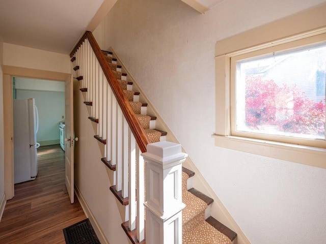 stairway featuring wood-type flooring