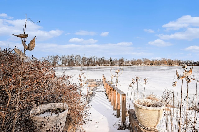 view of yard layered in snow