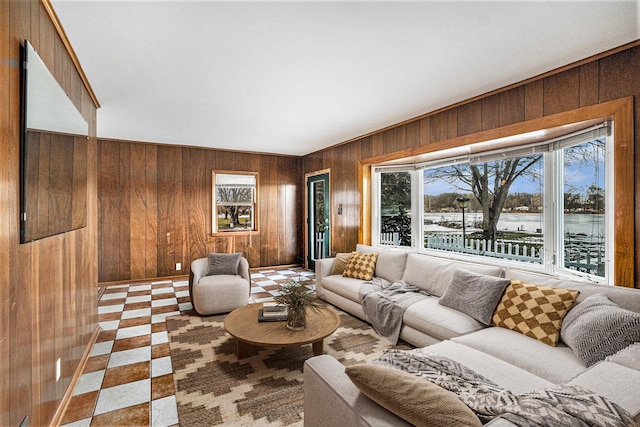 living room featuring wood walls