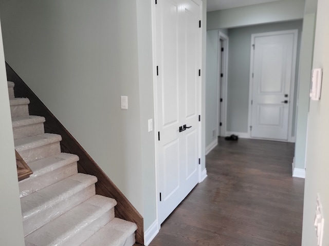 staircase with hardwood / wood-style flooring