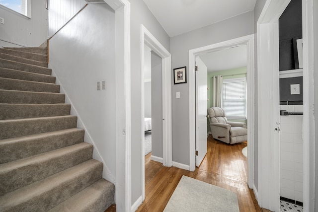 stairway featuring wood-type flooring