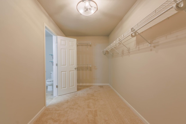 walk in closet featuring light carpet