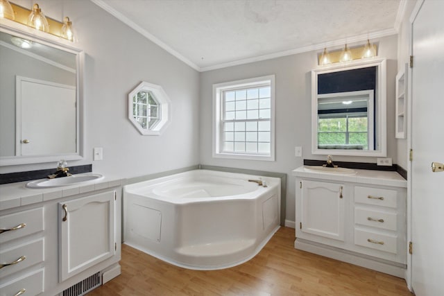 bathroom featuring vanity, a tub to relax in, and wood-type flooring