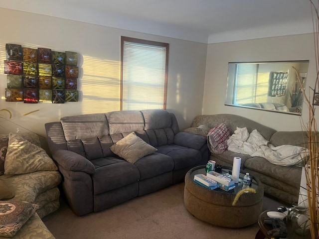 living room with carpet and a wealth of natural light