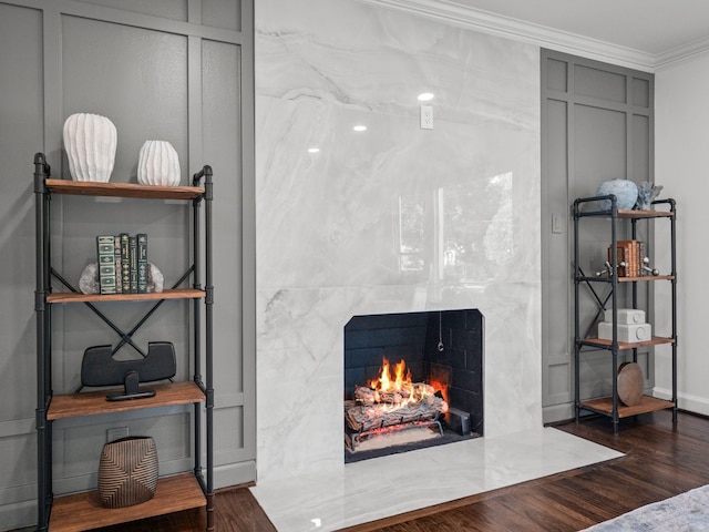 details with a premium fireplace, ornamental molding, and wood-type flooring