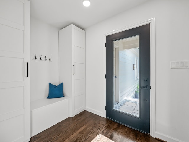 interior space featuring dark wood-type flooring