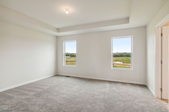 empty room featuring light carpet, a wealth of natural light, and a tray ceiling