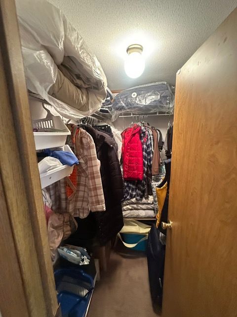 spacious closet featuring carpet floors