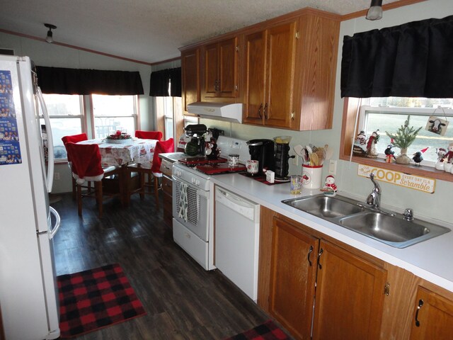 kitchen featuring white appliances, ornamental molding, dark hardwood / wood-style floors, and sink