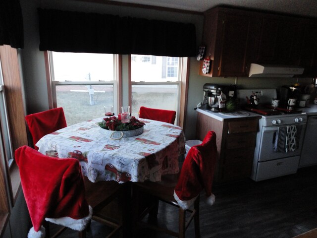 dining space featuring a healthy amount of sunlight