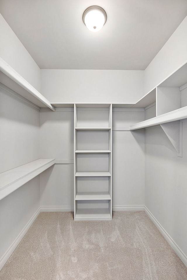 spacious closet featuring light carpet