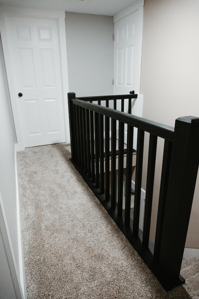 stairway with carpet flooring