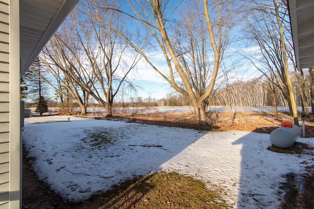 view of snowy yard