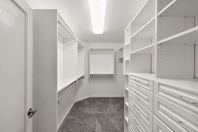 walk in closet with dark carpet