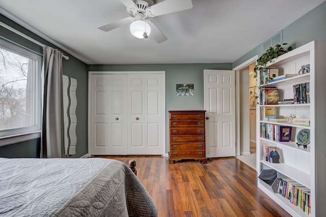 bedroom featuring dark wood-type flooring, ceiling fan, and a closet