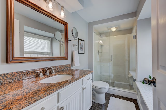 bathroom with vanity, toilet, and a shower with shower door