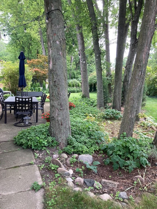 view of yard with a patio