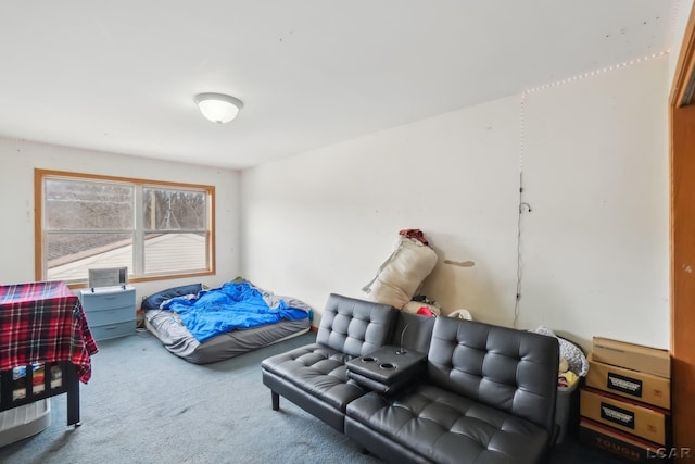 bedroom with carpet flooring