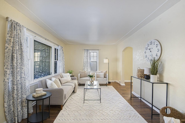 living room featuring dark wood-type flooring